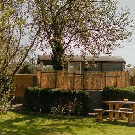 Little England Retreats - Cottage, Yurt And Shepherd Huts Othery Zewnętrze zdjęcie